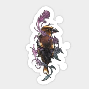 Hawfinch Sticker